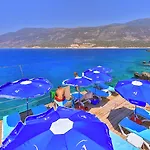 Arpia كاس