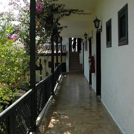 Arpia